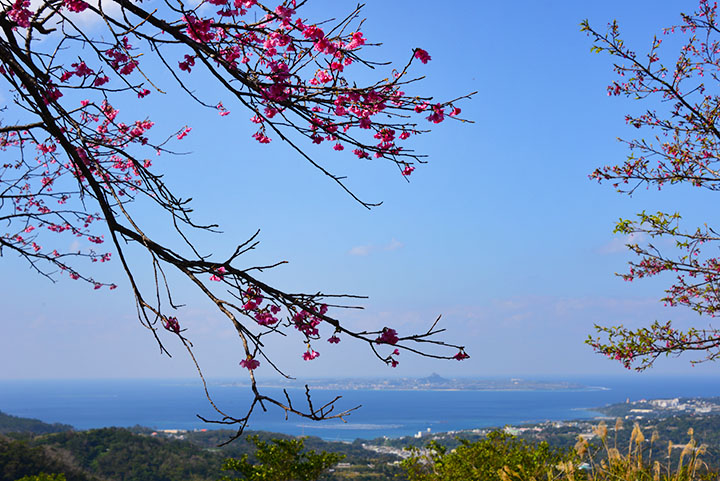 八重岳の頂上から