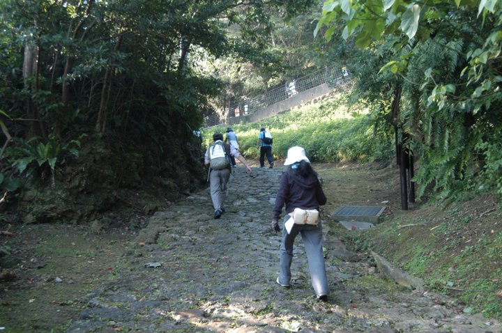 コースのところどころでみられる草や、花、木、岩