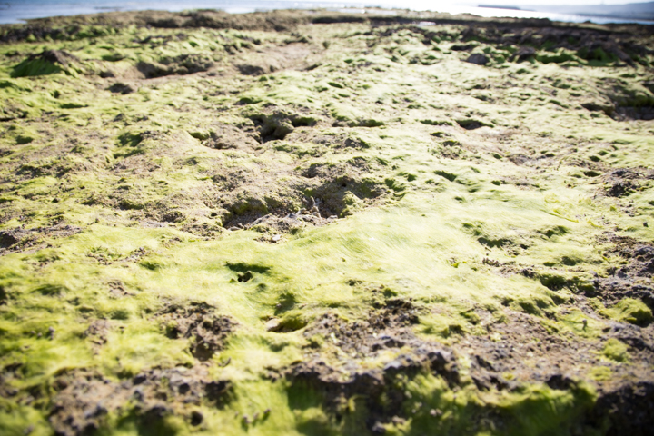 岩にもアーサー