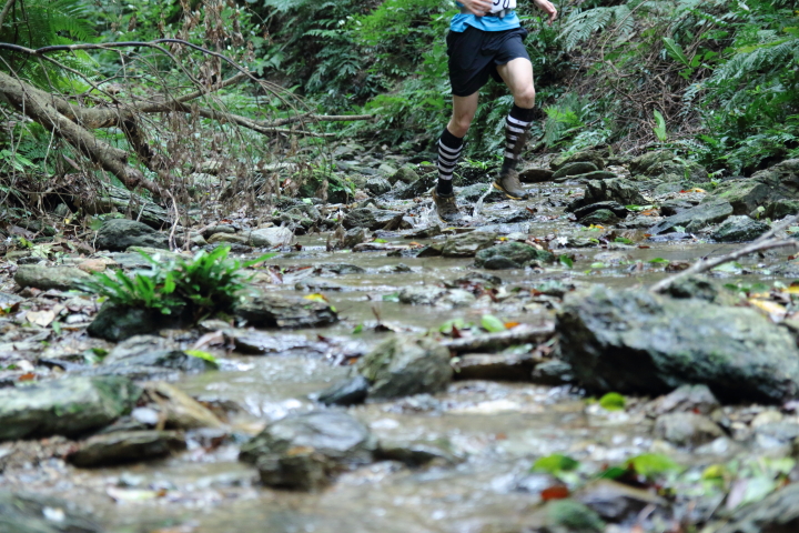 川の中を走る足