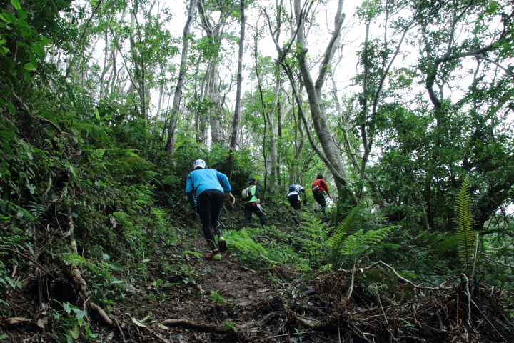 山道を登る選手たち