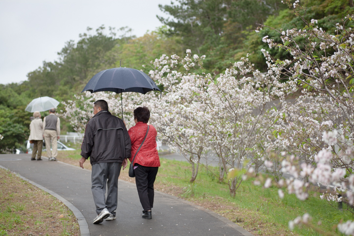 沖縄県国頭郡本部町伊豆見