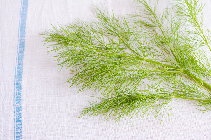 イーチョーバー