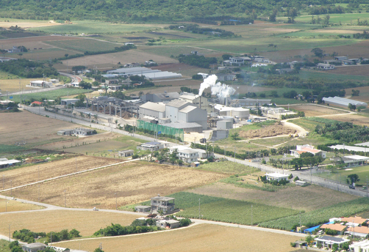 広がるパイン畑