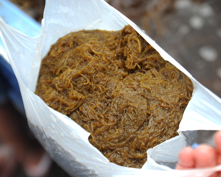 袋いっぱいに生もずく