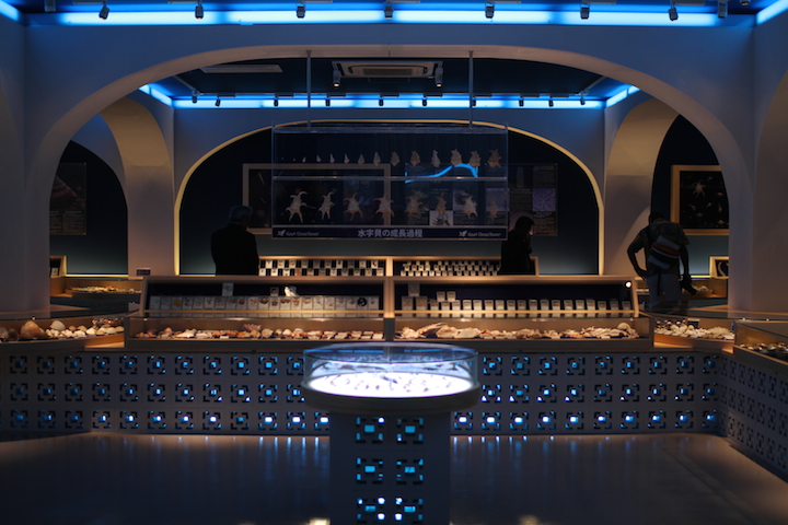 シェルミュージアム