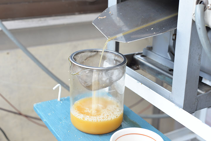 Parlour de jujumoでは絞り立てさとうきびジュース