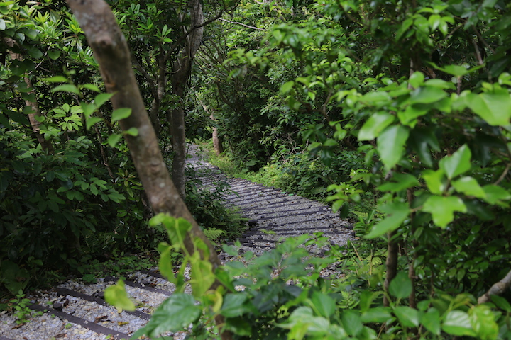 遊歩道が整備された公園