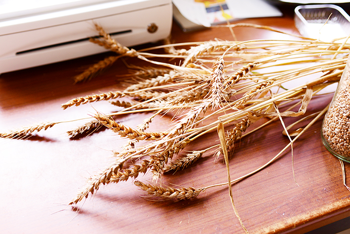 小麦
