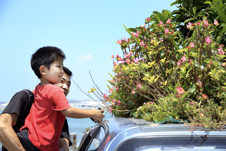 車の上に花が咲いたらアート