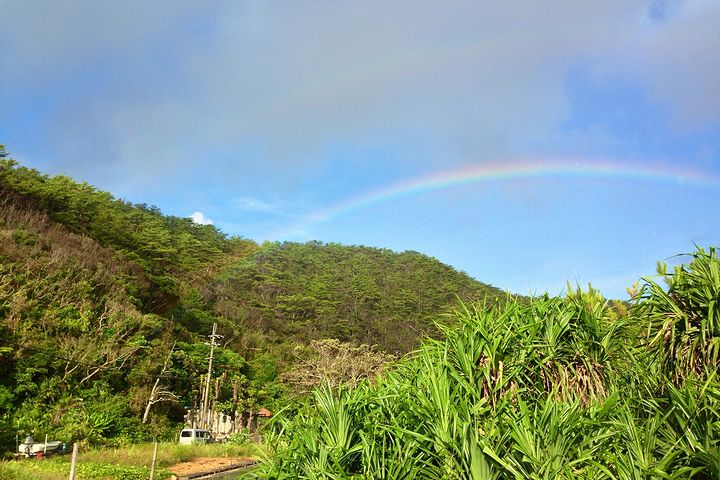 夢中で遊んだ記憶