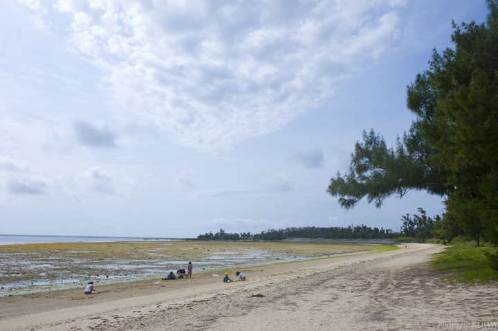 伊是名ビーチ　目の前が海！