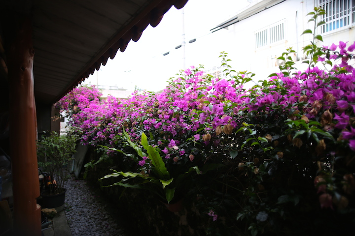 やん小～店に咲く花