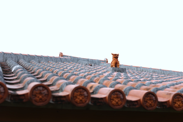 やん小～店の屋根のシーサー