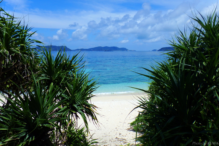 ヒジュイシビーチ