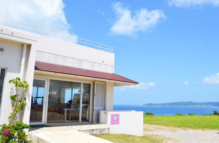 島の恵みをたっぷり含んだお料理と自然派ワイン