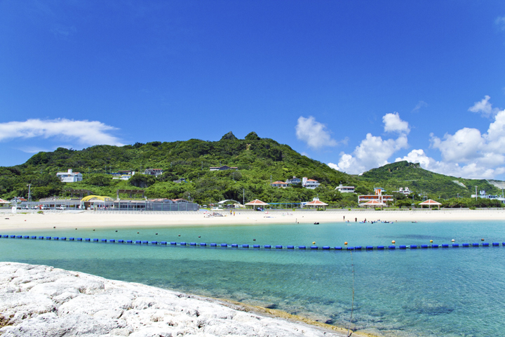 ハブクラゲ侵入防止ネット