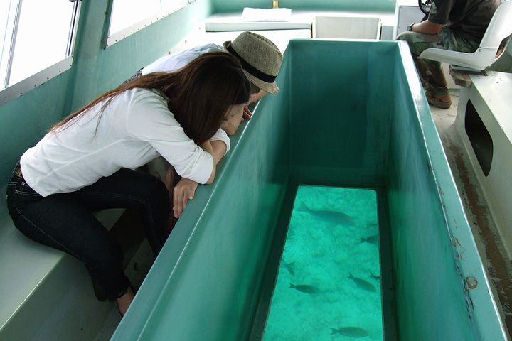 グラスボートで海の中の世界を楽しもう