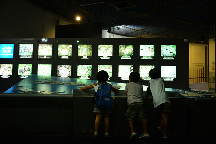 ハブ博物公園