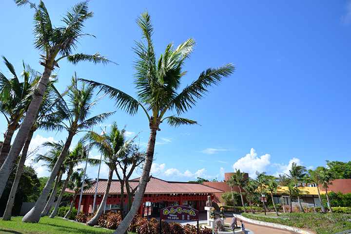 おきなわワールド