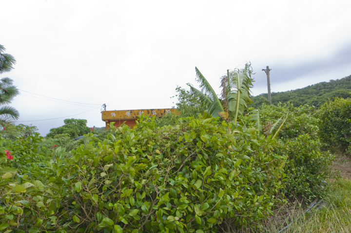 宮古島城辺仲原集落内の畑のなか