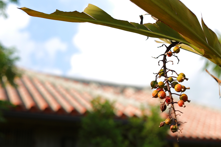Café がらまんじゃく