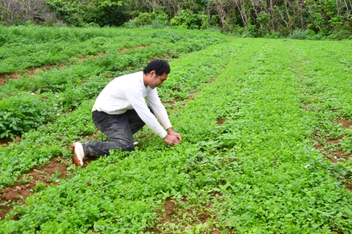 本田哲也さんの畑