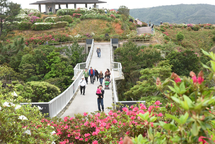 東村村民の森つつじ園