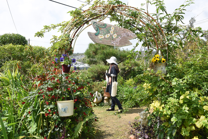 一般家庭のお庭