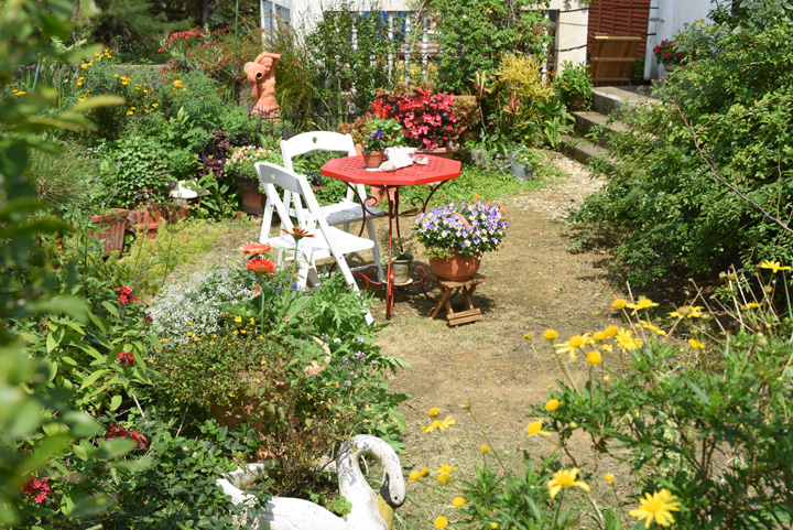 一般家庭のお庭