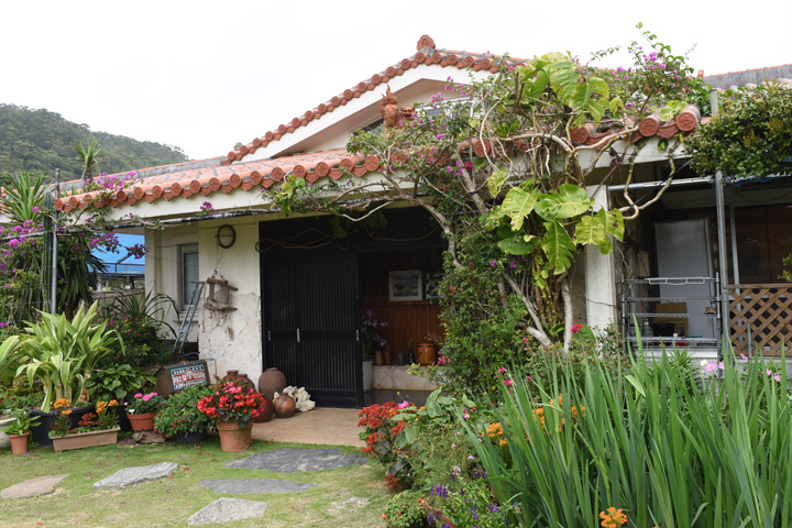 一般家庭のお庭