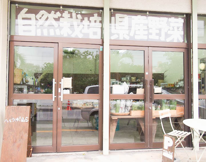 沖縄には栄養たっぷりな島やさいがあります。沖縄の美味しい野菜は「ハルラボ商店」にで手にはいります♪