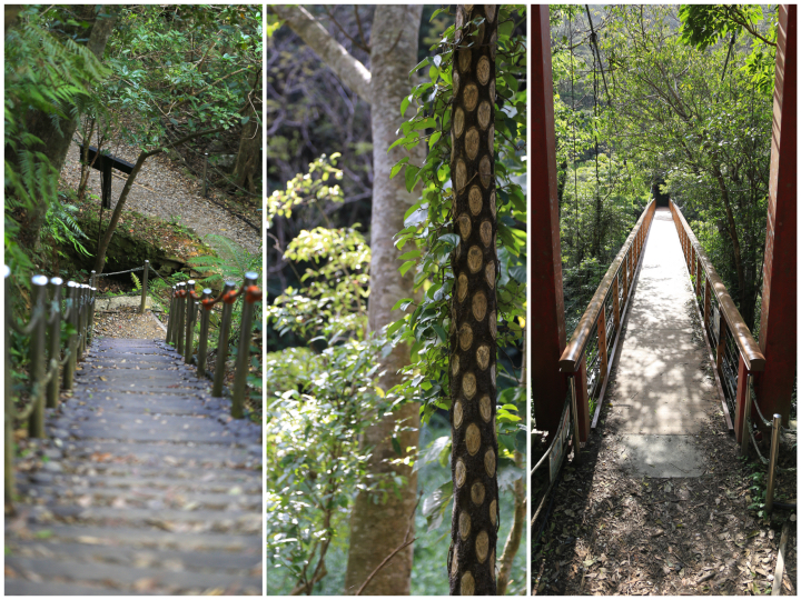 比地大滝へ向かって、続く遊歩道等