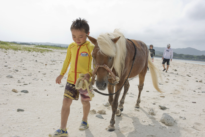 馬と心を通わせてください