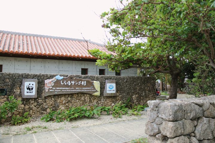 「しらほサンゴ村」