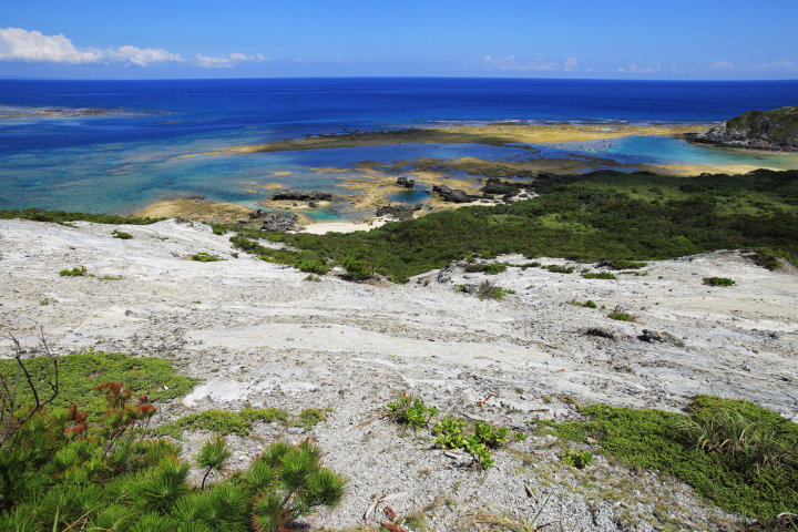 凝灰岩質による剥き出しの白い地層