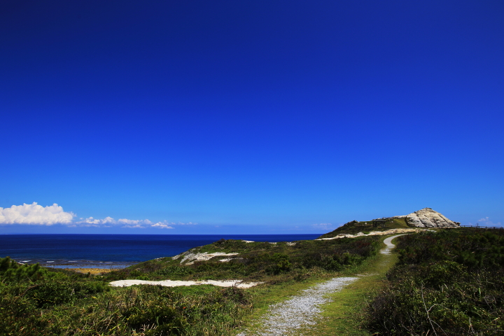 『阿波連園地展望台』