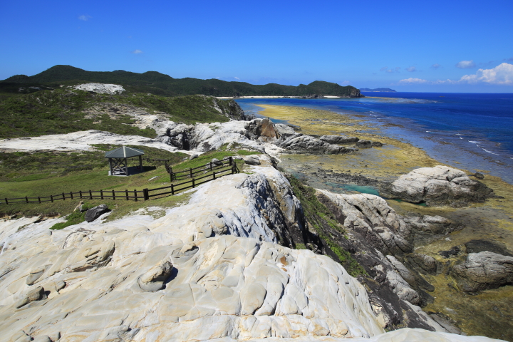 『阿波連園地展望台』