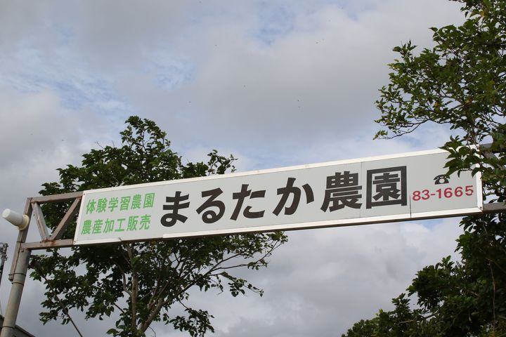 「まるたか農園」