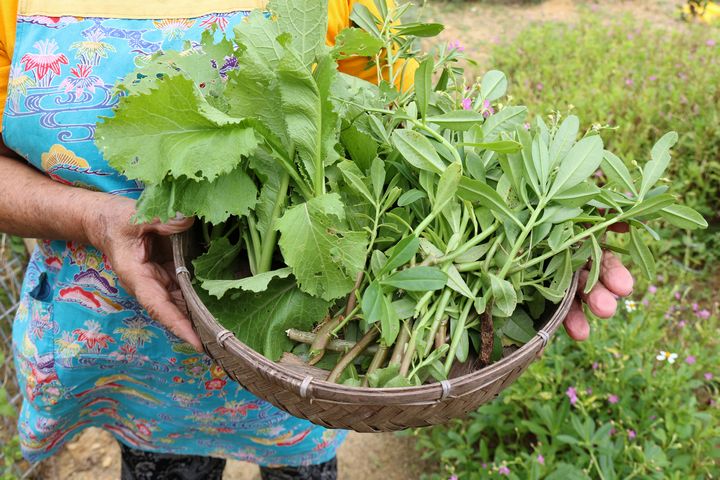 かごにどっさりの野菜