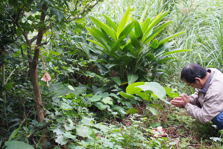 手を合わせ、おもむろに何かを呟いています。