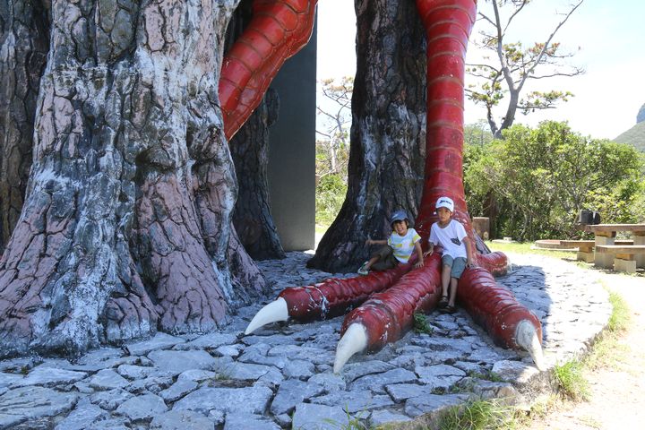 ヤンバルクイナ展望台