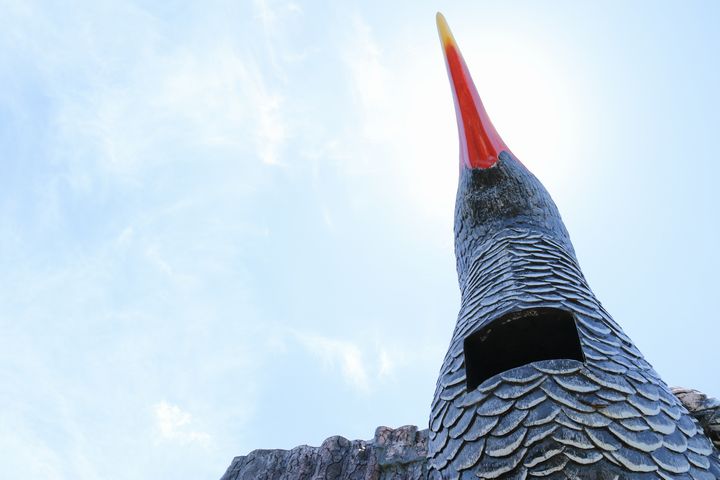 ヤンバルクイナ展望台