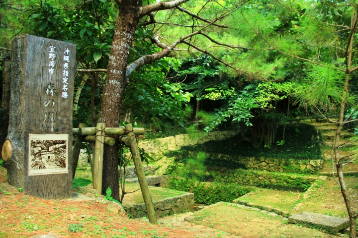 森川公園内にある名勝「森の川」