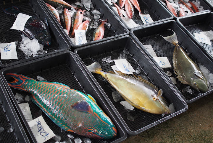 水揚げされたばかりのお魚