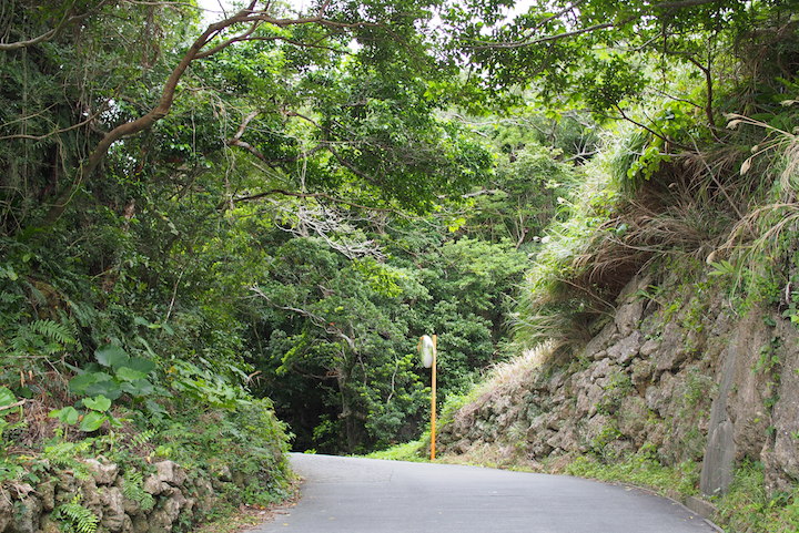 知念グスクの坂道