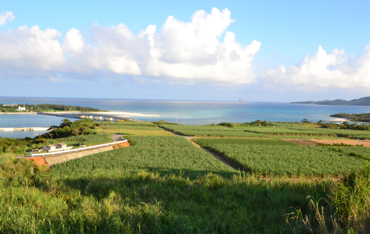 小さな島、奥武島（おうじま）