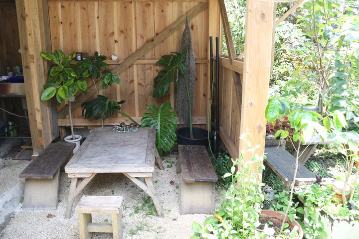 珈琲屋台ひばり屋の席