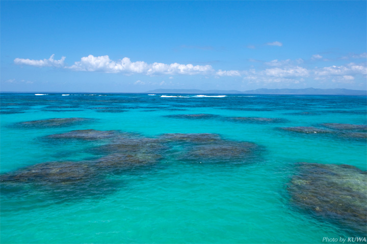 綺麗な海