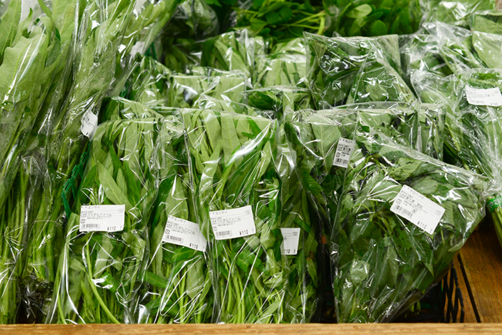 ウンチェーまたは空芯菜（クウシンサイ）